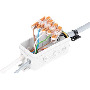 Wago 221-2411 Durchgangsverbinder mit Hebel für alle Leiterarten max. 4mm² (3 St.) | Verbindungsklemme für alle Leiterarten von 0,2-4 mm², 32A, 450V, werkzeuglose Handhabung, 12-14mm Abisolierlänge Wago 221-2411 Durchgangsverbinder mit Hebel für alle Leiterarten max. 4mm² (3 St.) | Verbindungsklemme für alle Leiterarten von 0,2-4 mm², 32A, 450V, werkzeuglose Handhabung, 12-14mm Abisolierlänge
