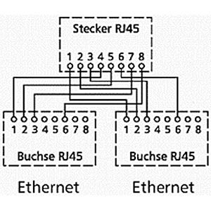 Répartiteur de câble LAN Goobay (doubleur de réseau), adaptateur Y - 2x  Câblage Ethernet CAT 5 : 1x 8 broches vers 2x 4 broches, Câble /  adaptateur, Câbles, télévision, musique etc