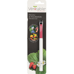 VER PIN-0097-O - Indoor Garten