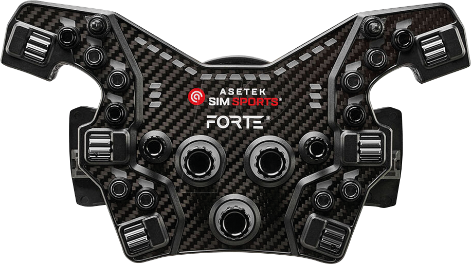 1230000173087 - ASE 031-0031006 - Asetek Forte Formula Button Box V2 - schwarz