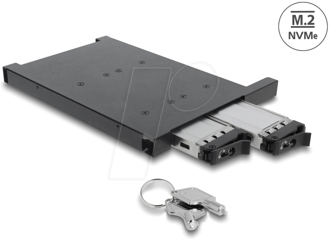 DELOCK 47138 - Wechselrahmen für 2 x M.2 NMVe SSD mit SFF-8654 Anschluss