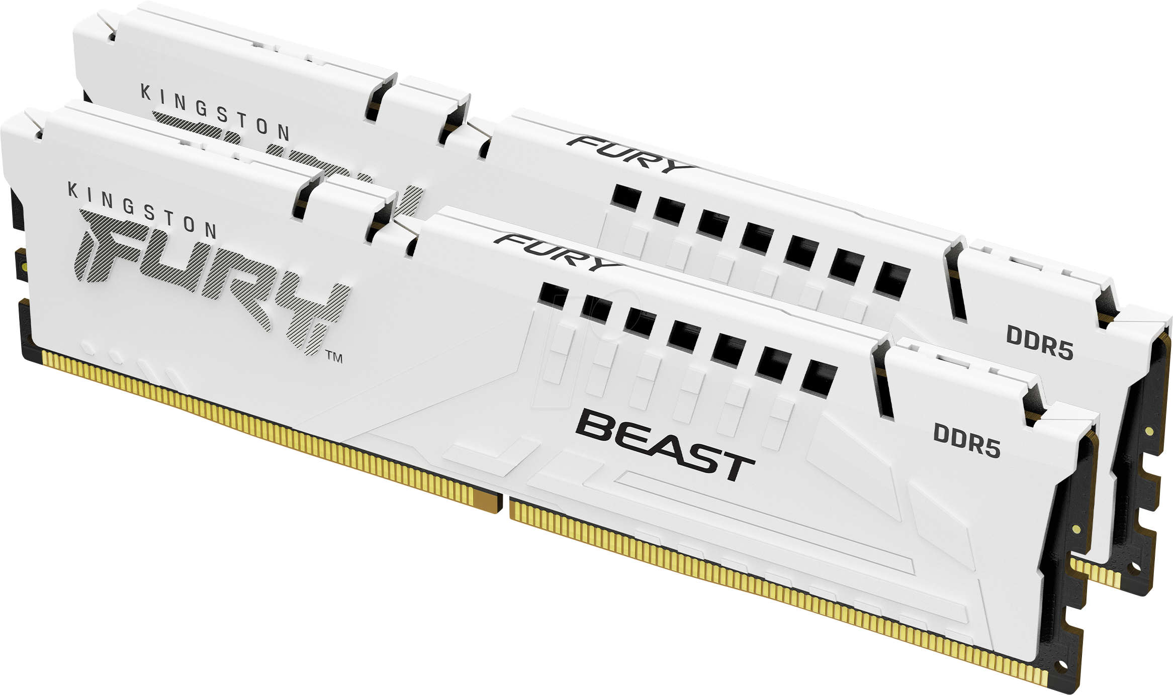 0740617343236 - FURY Beast - DDR5 - kit - 64 GB 2 x 32 GB - DIMM 288-pin - 6000 MHz   PC5-48000 - unbuffered