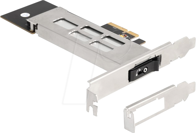 DELOCK 47028 - Wechselrahmen PCIe für 1x M.2 NVMe SSD, Schloss