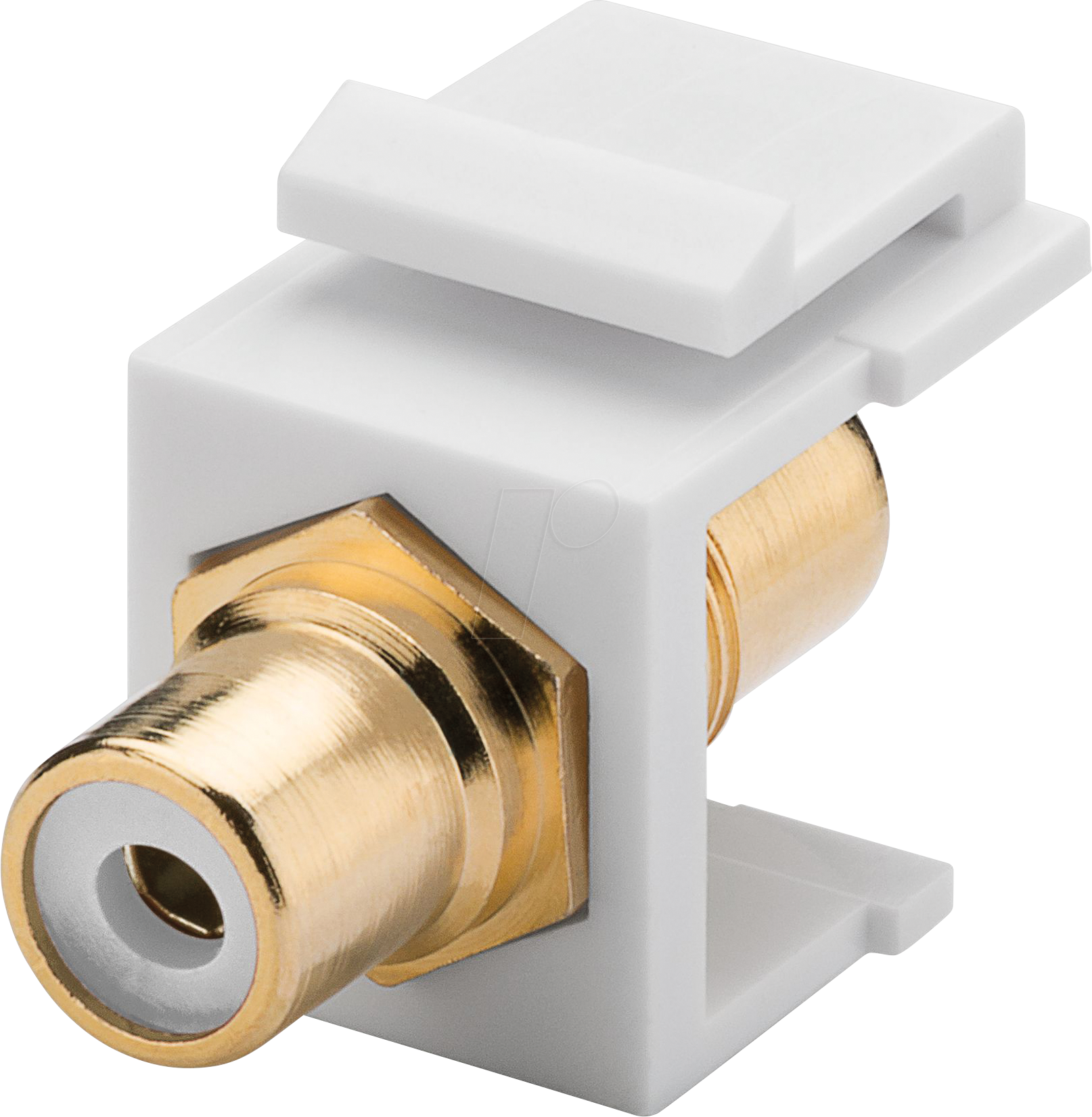 4040849796760 - Keystone Cinch RCA module white - 2 rca female white gold-plated (79676) - Goobay