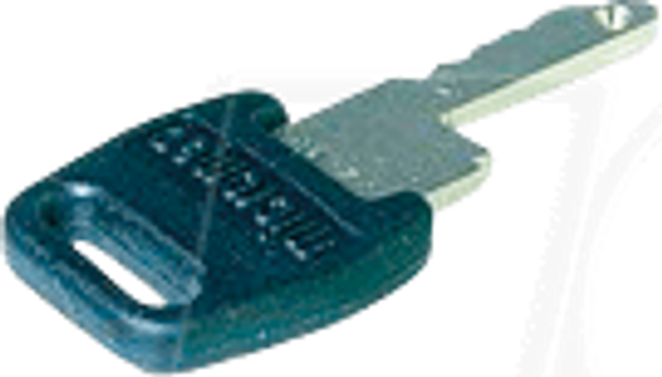 Запасной ключ для выключателя Schlegel Key switch