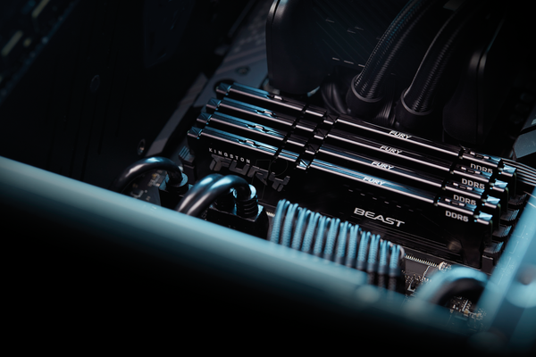 64 ГБ DDR5 5600 CL36 Kingston FURY Beast