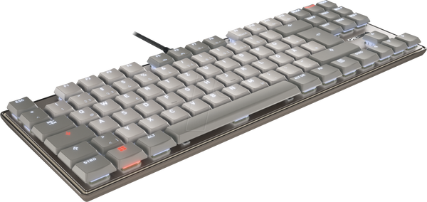 Клавіатура, USB, низькопрофільний перемикач MX 2.0, TKL, сірий