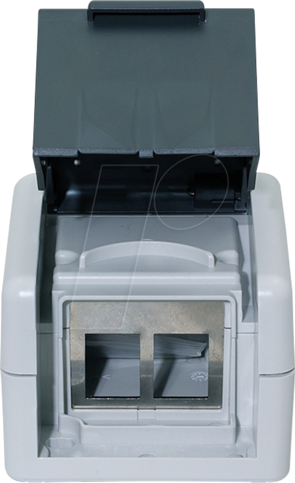 Мережева розетка Cat.6a 2x RJ45, зовнішня